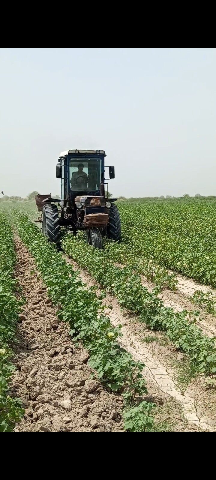 MTZ T-28 1989 - 50 000 TMT - Farap - img 5