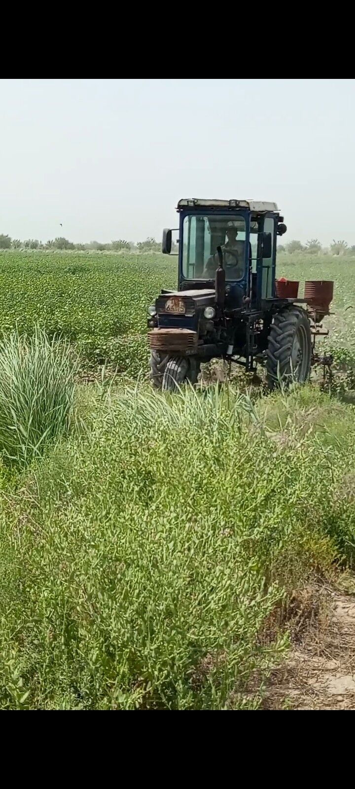 MTZ T-28 1989 - 50 000 TMT - Farap - img 2