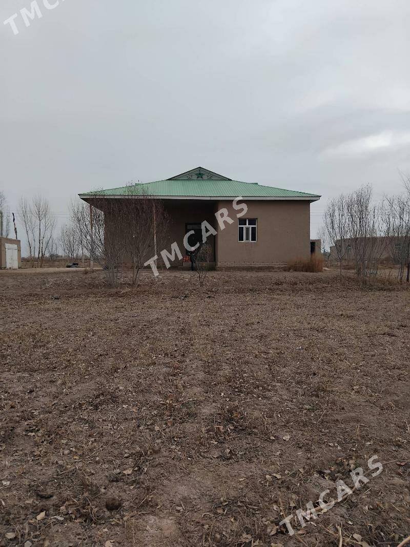Yaşayyş  jay - етр. Туркменбаши - img 3