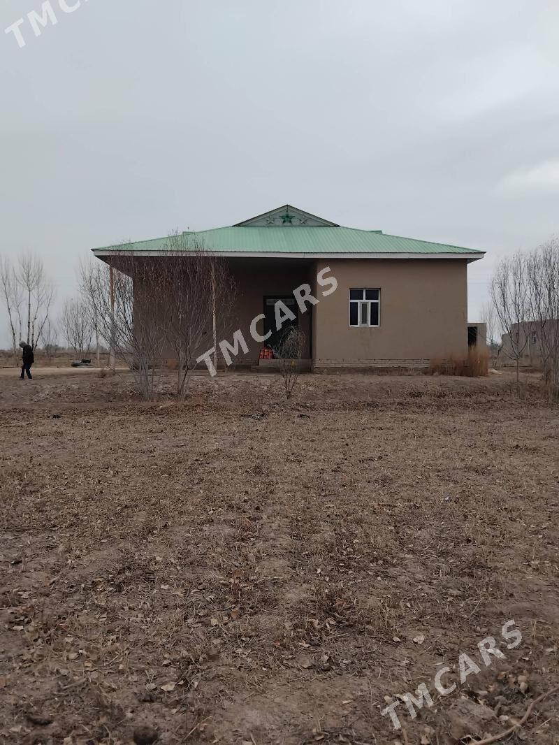 Yaşayyş  jay - етр. Туркменбаши - img 2