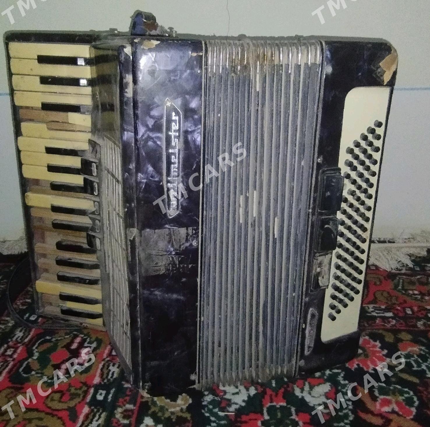 Akardion "woltmester" - Гурбансолтан Едже - img 3