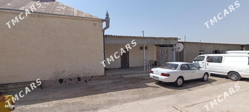 Arenda boş howly - Tejen - img 2