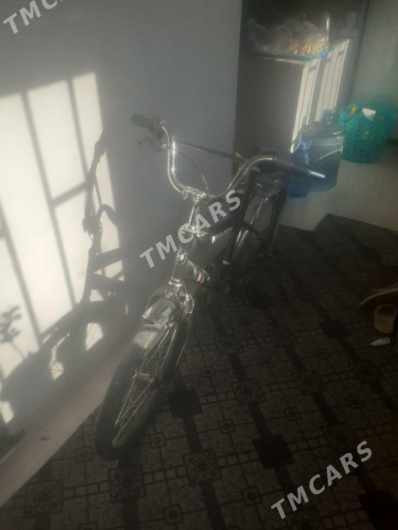 Tigir - Büzmeýin - img 2