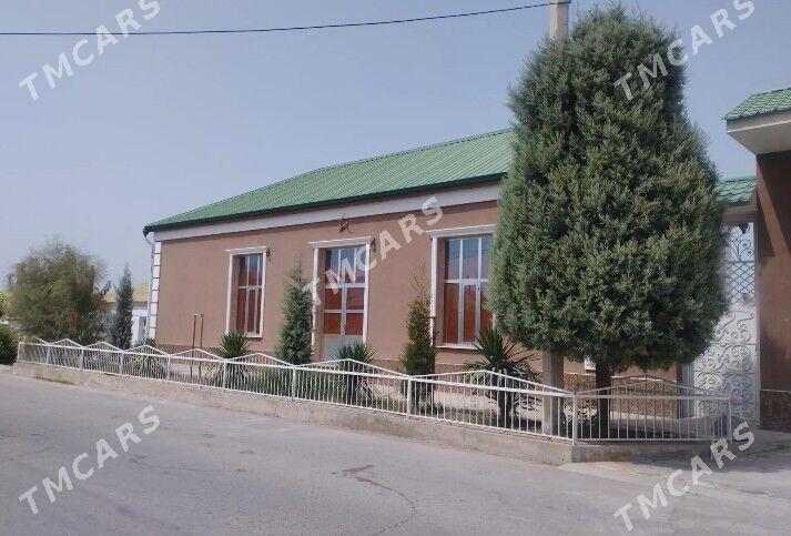 Mellek jay - Aşgabat - img 2