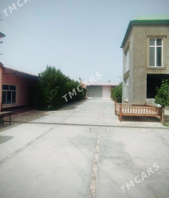 Mellek jay - Aşgabat - img 7