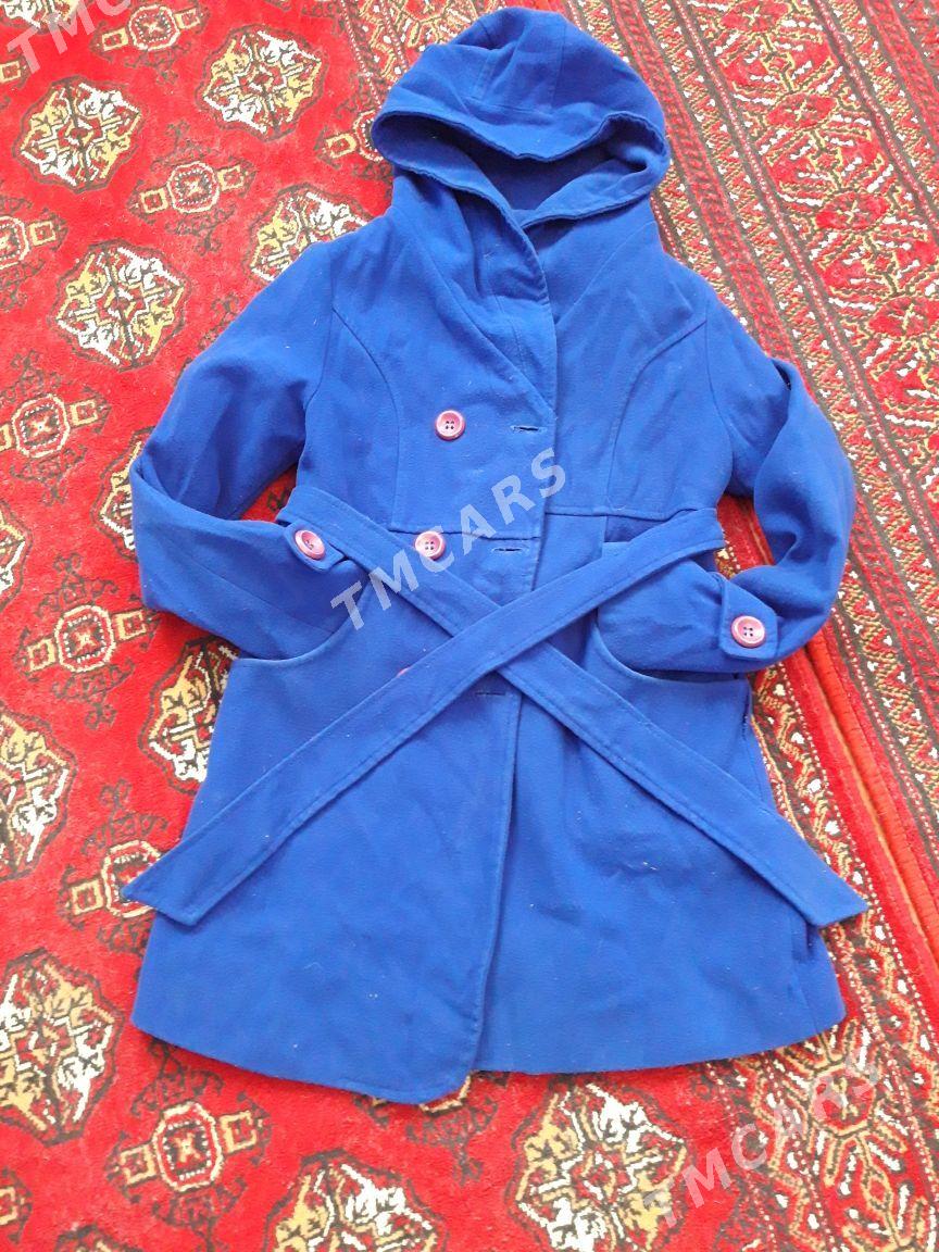 gyş ucin kurtkalar - Türkmenabat - img 5