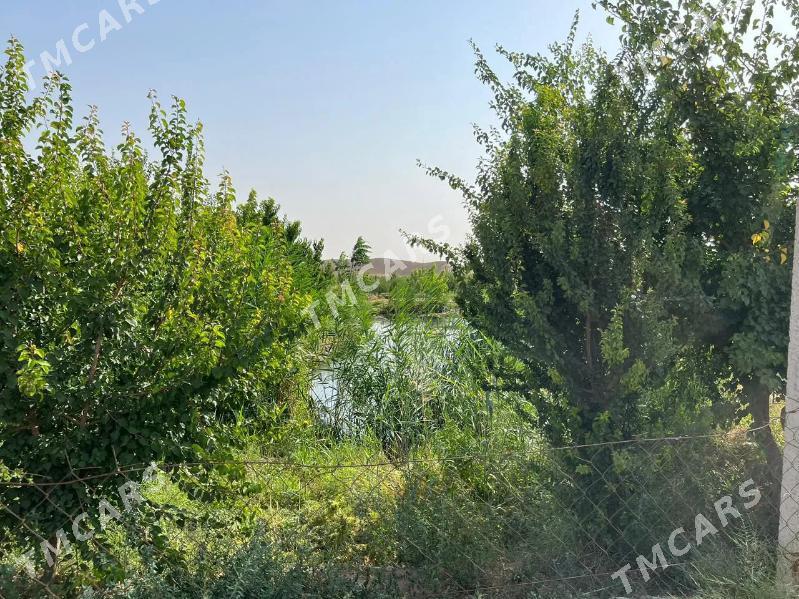 Satlyk Ýer 28 gektar Kaka etr - Кака - img 8