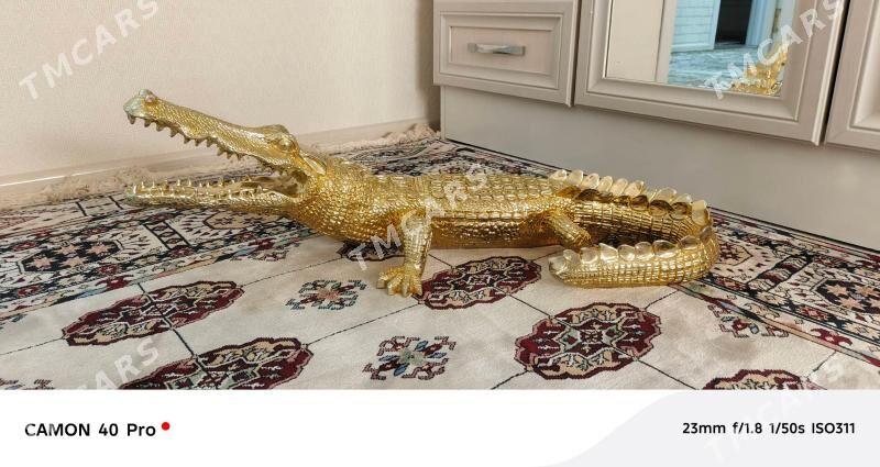 Krokodil zolotisti - Мир 1 - img 2