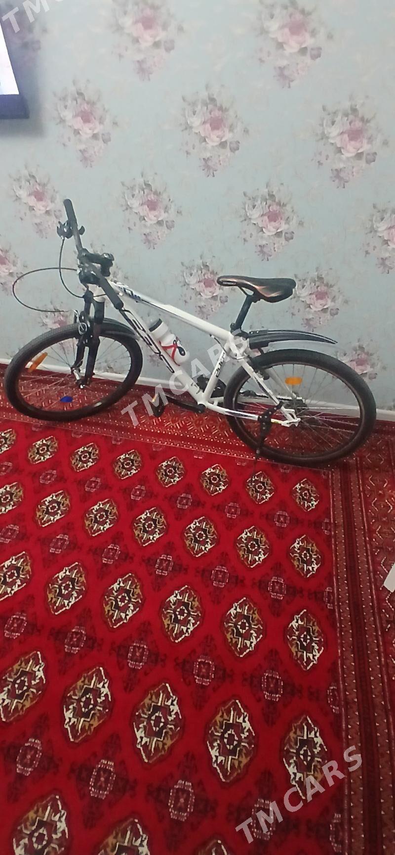 tigir - Aşgabat - img 2