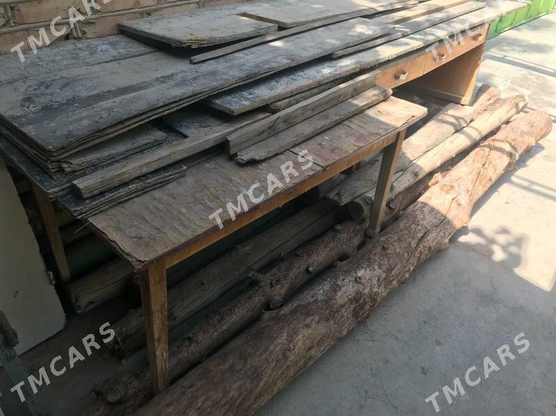 Agaçlar - Ашхабад - img 2