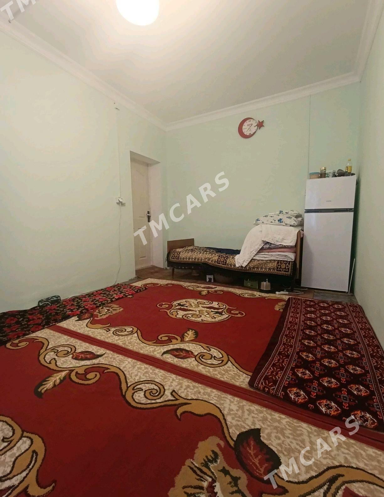 Satlyk Ayraport daca - Türkmenabat - img 6