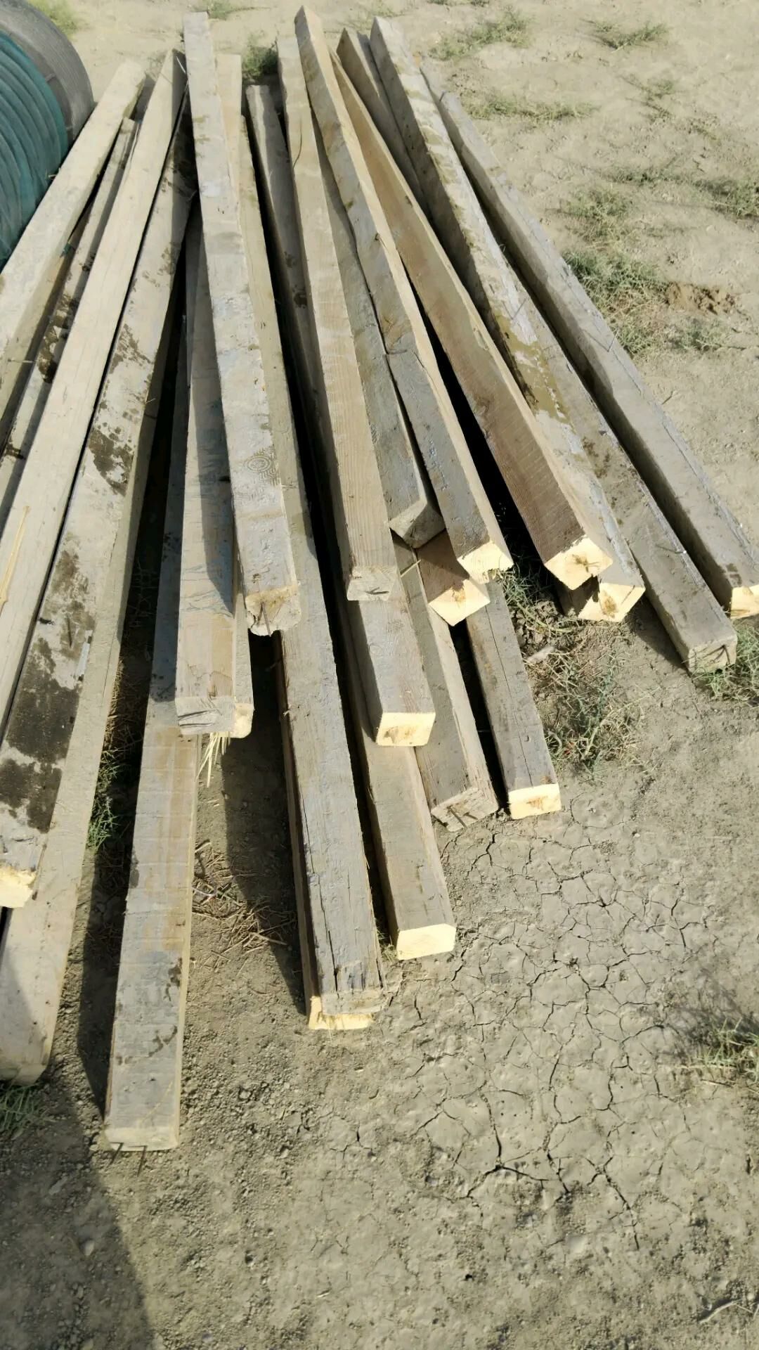 Polluk agac laminat alyan - Aşgabat - img 2