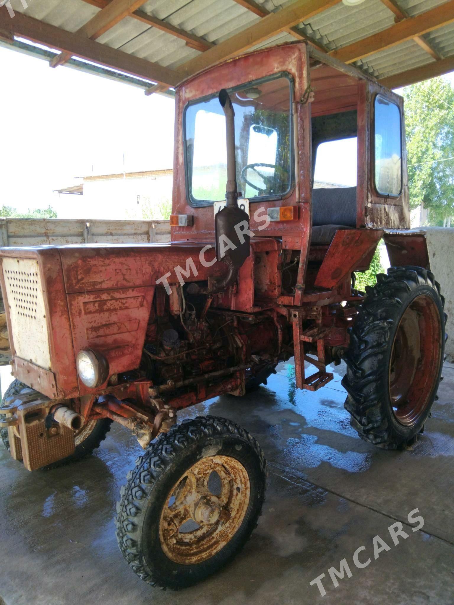 MTZ T-28 2010 - 30 000 TMT - Гурбансолтан Едже - img 7