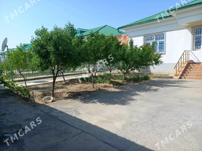 TAZE ZAMAN PLAN 5 KOM - Aşgabat - img 1