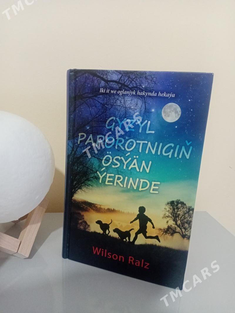 Täze kitap - Büzmeýin - img 3