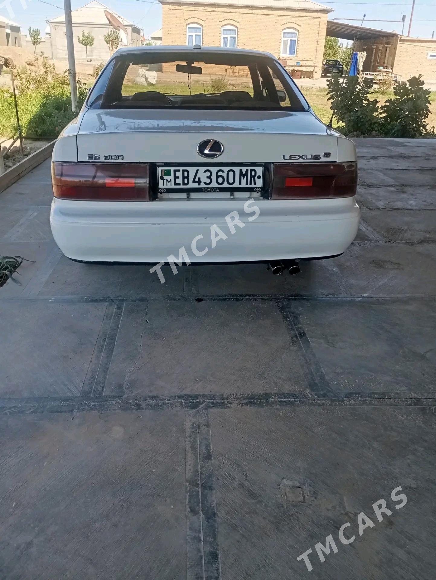 Toyota Windom 1993 - 42 000 TMT - Mary - img 5
