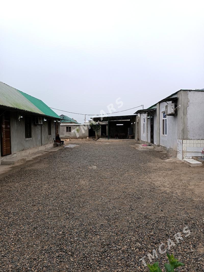 Bagyr - Aşgabat - img 2