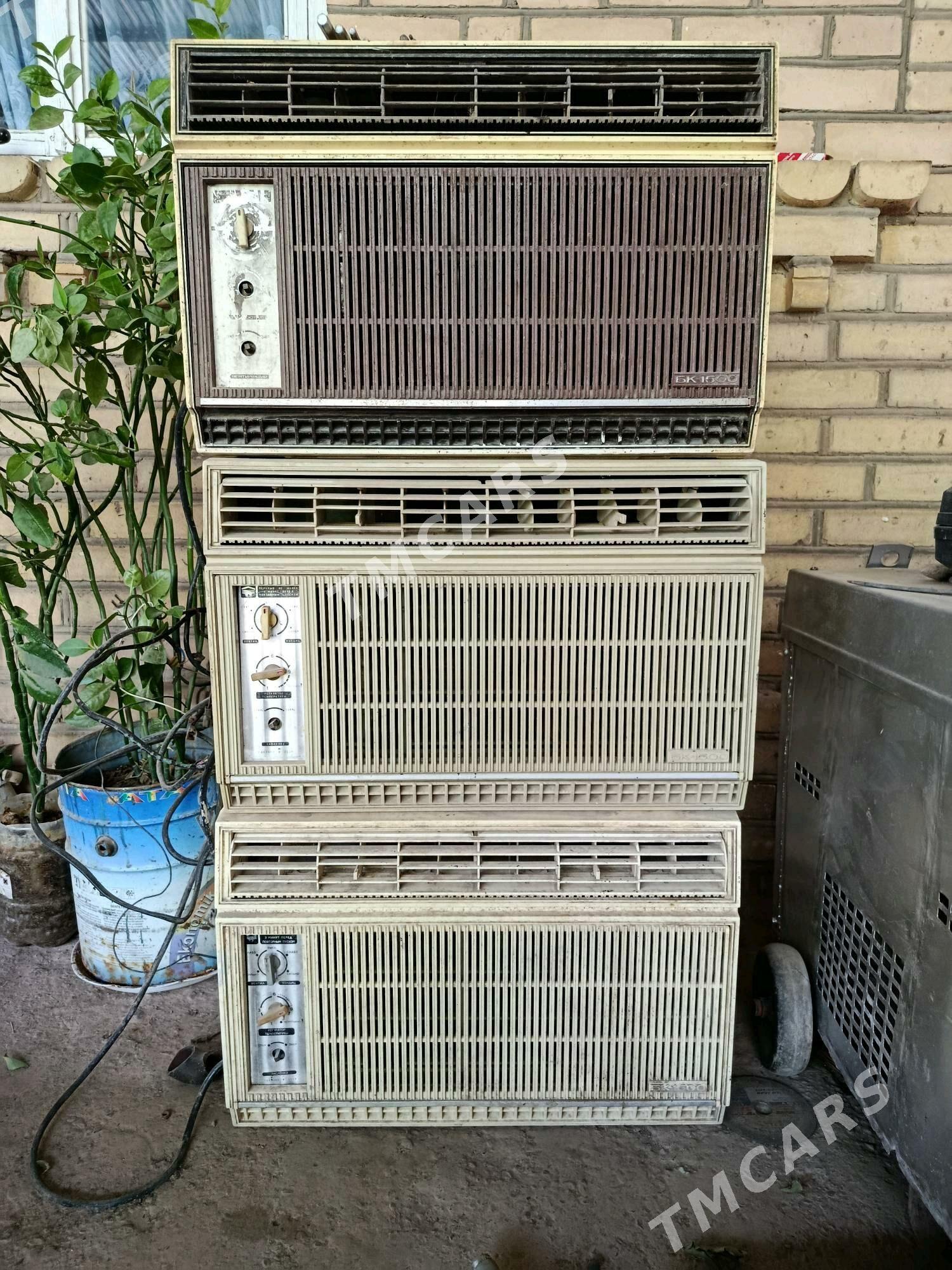 Kansaner - Halaç - img 2