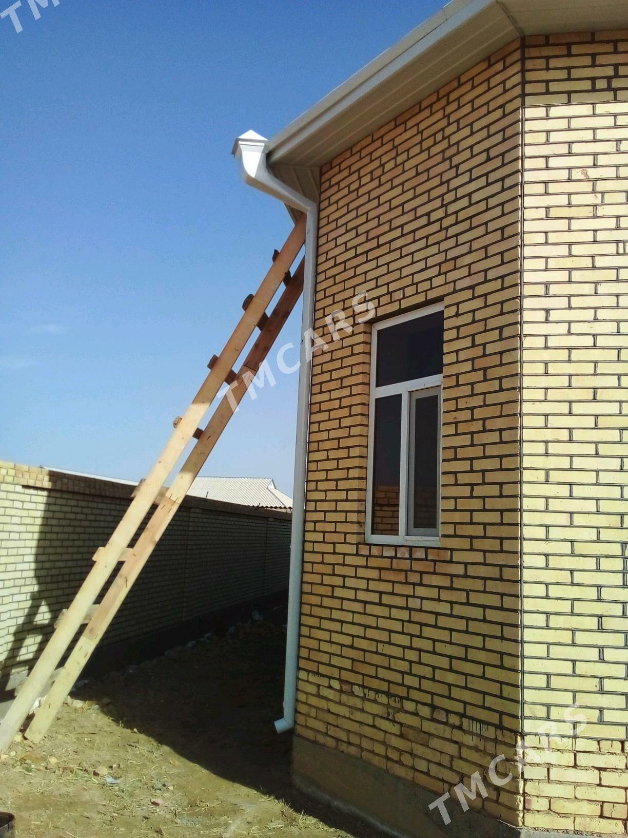 suw akar - Мургап - img 4