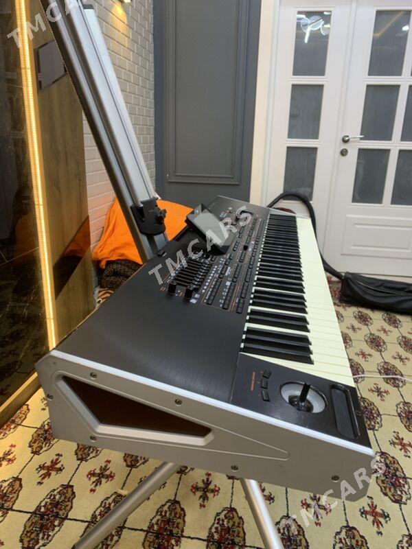 Kori pa4x professional 76 klws - Мары - img 2