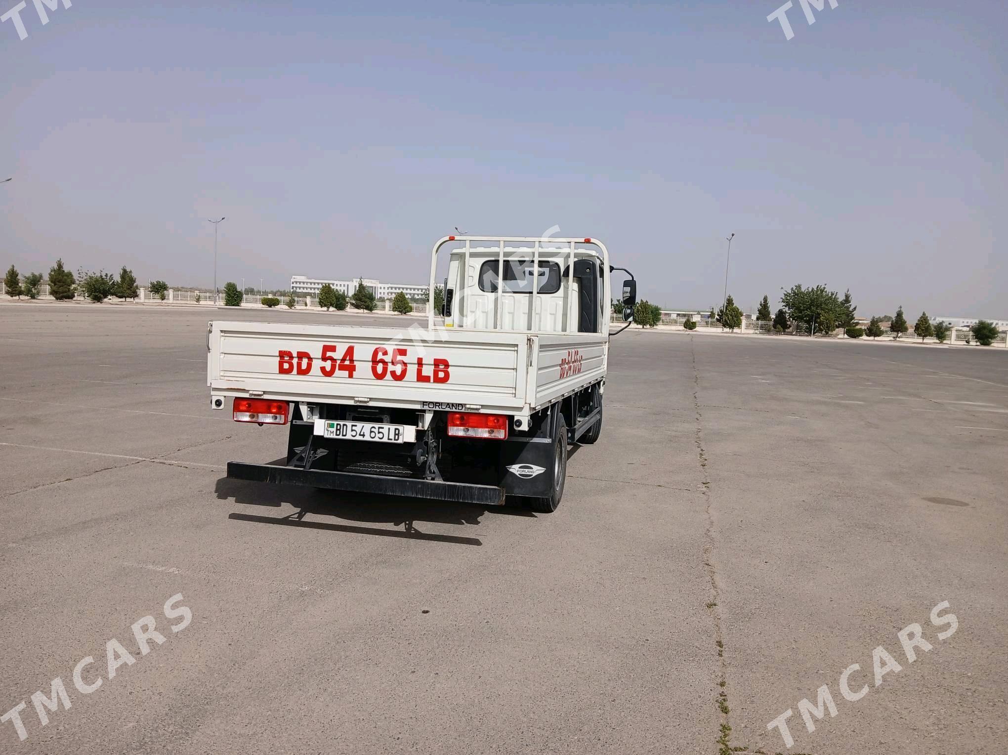 Forland H2 2023 - 295 000 TMT - Farap - img 4