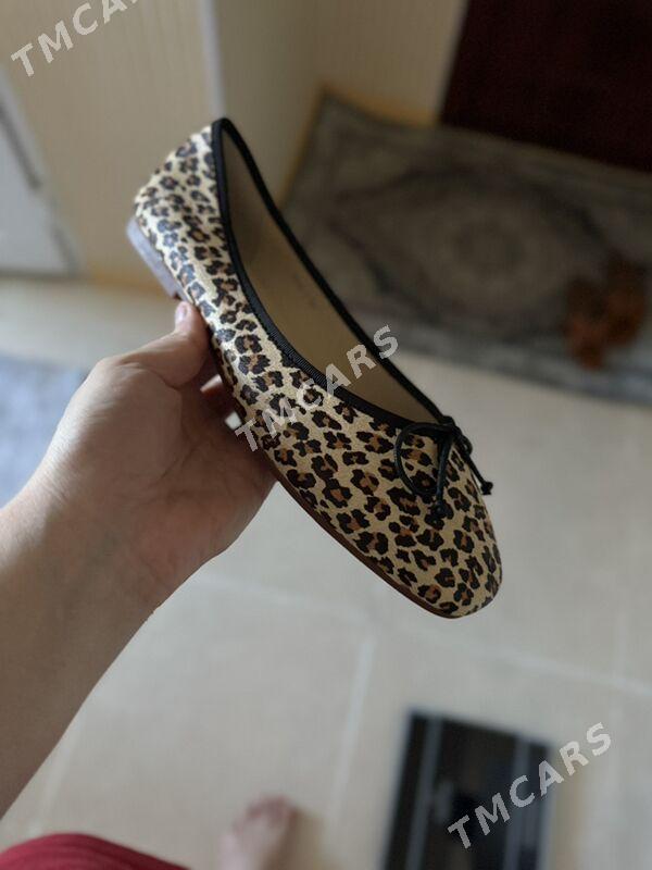 Taze leopard  balet - Ашхабад - img 2