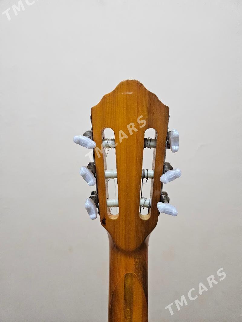 Gitar Amerikan Focus - Aşgabat - img 6
