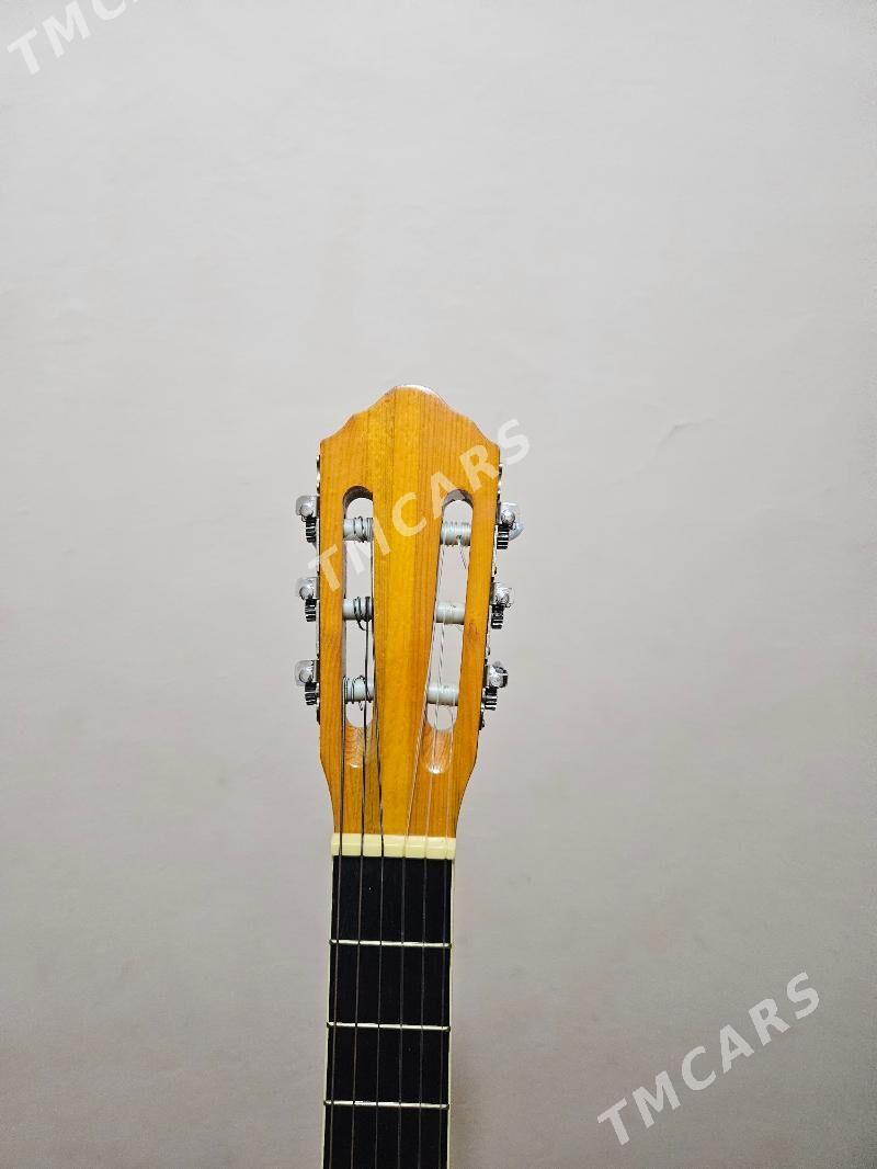 Gitar Amerikan Focus - Aşgabat - img 5