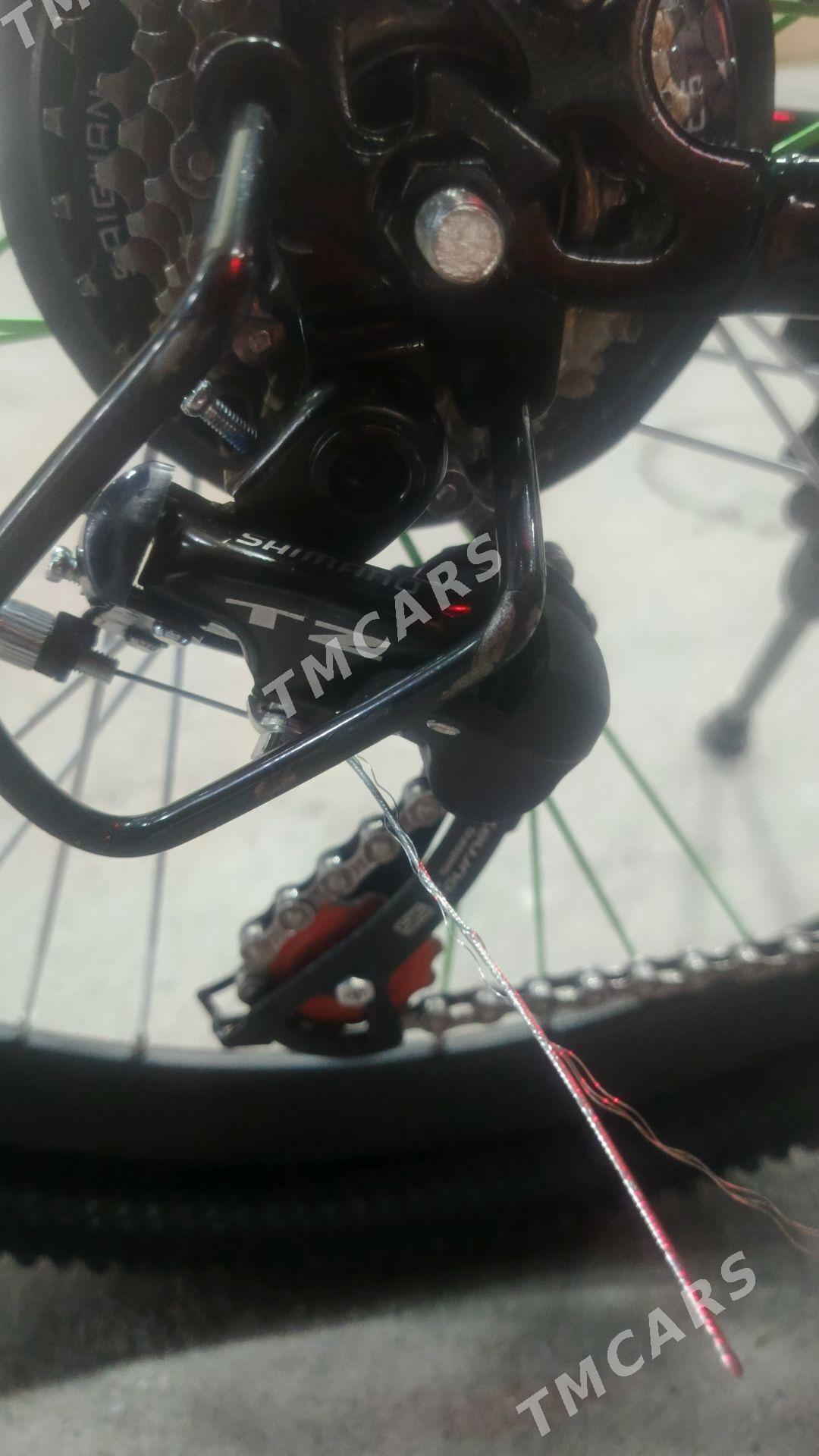 tigir - 4 mkr - img 6