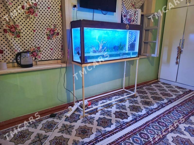 AKWARIN - Ашхабад - img 4
