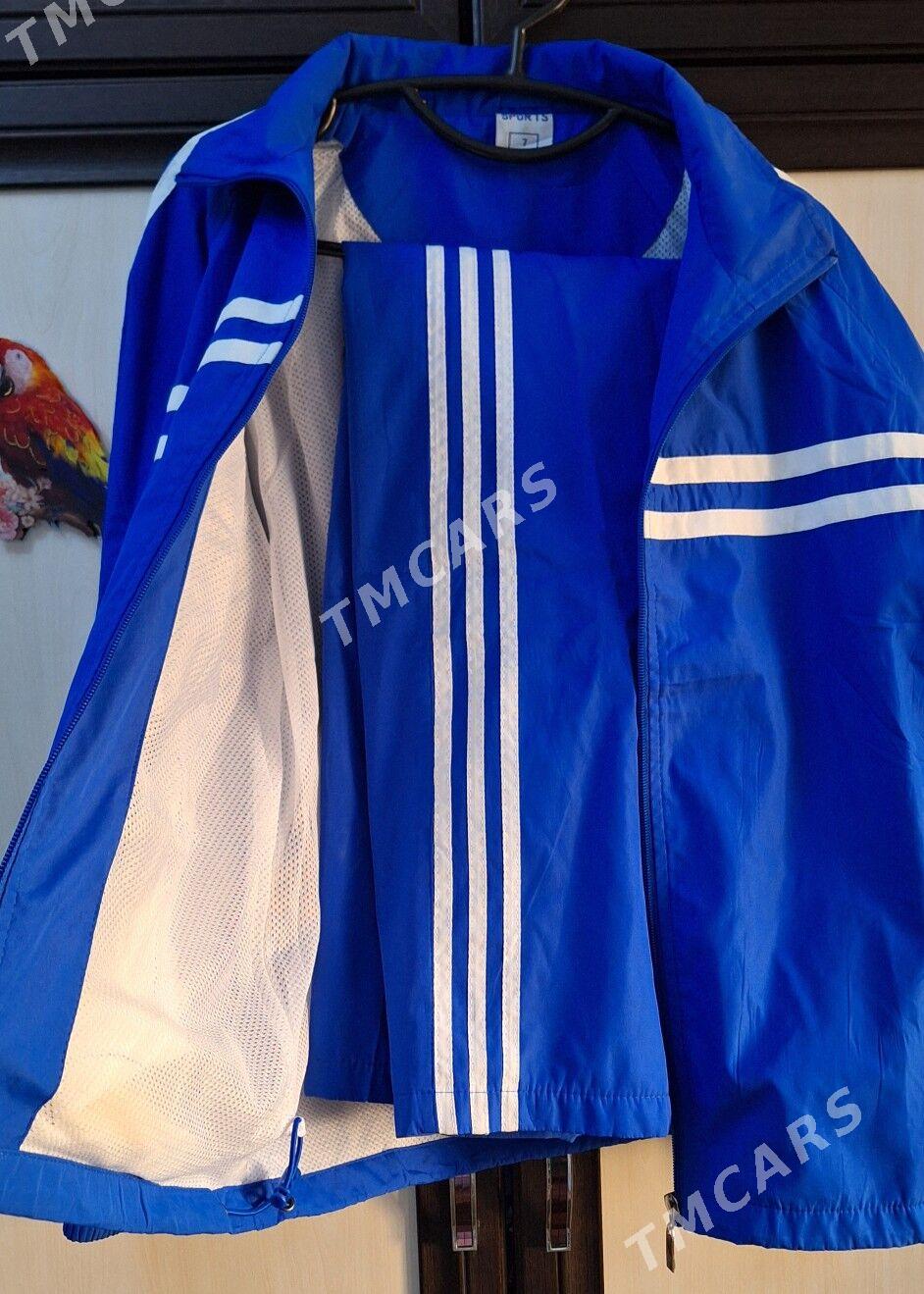 talyp forma - Мир 4 - img 2