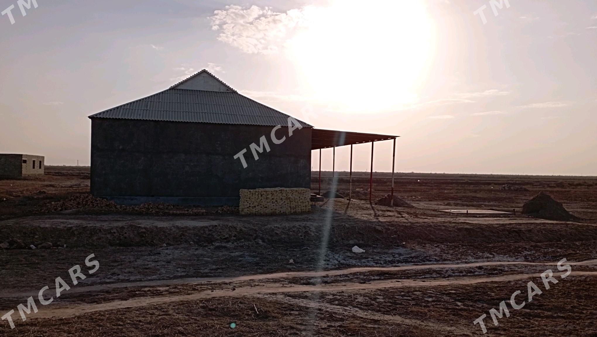 Satlyk tejen jay - Теджен - img 2