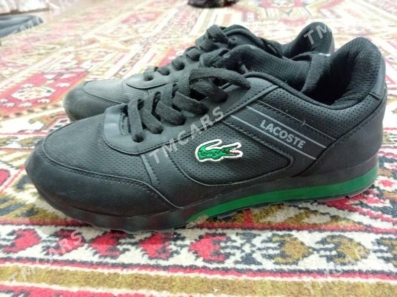 lacoste  - Саят - img 2