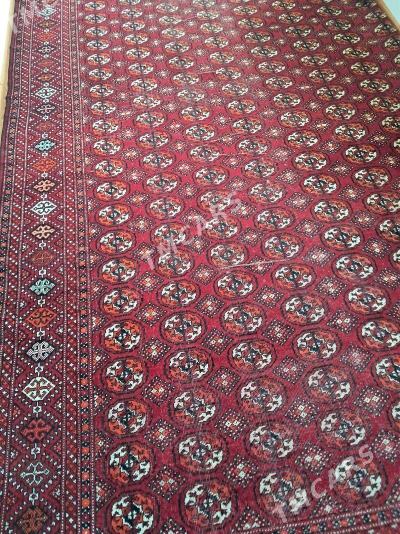 Turkmen haly - Aşgabat - img 2