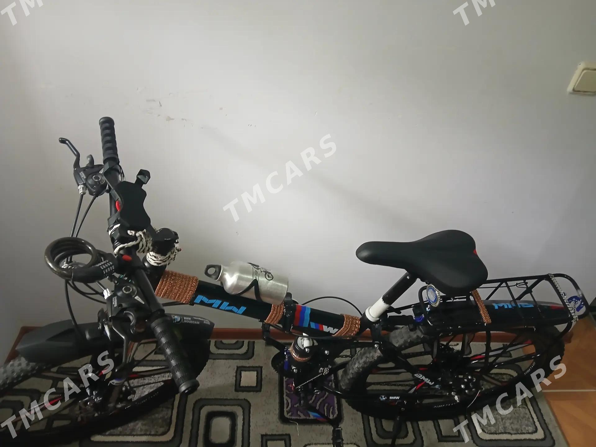 Tigir - 30 mkr - img 2