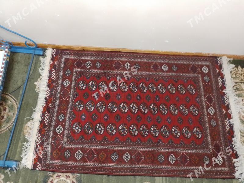 haly - 6 мкр - img 2