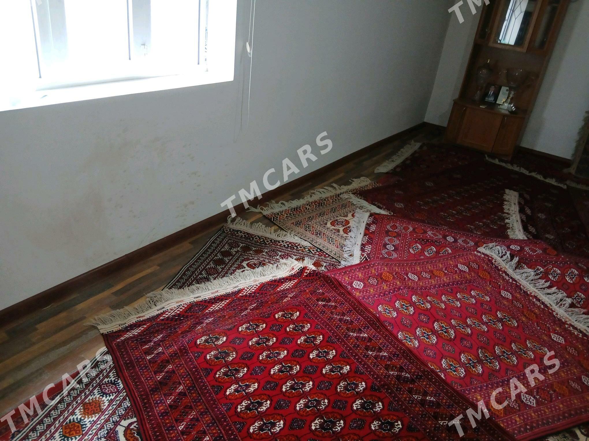 El haly - Бекреве - img 4