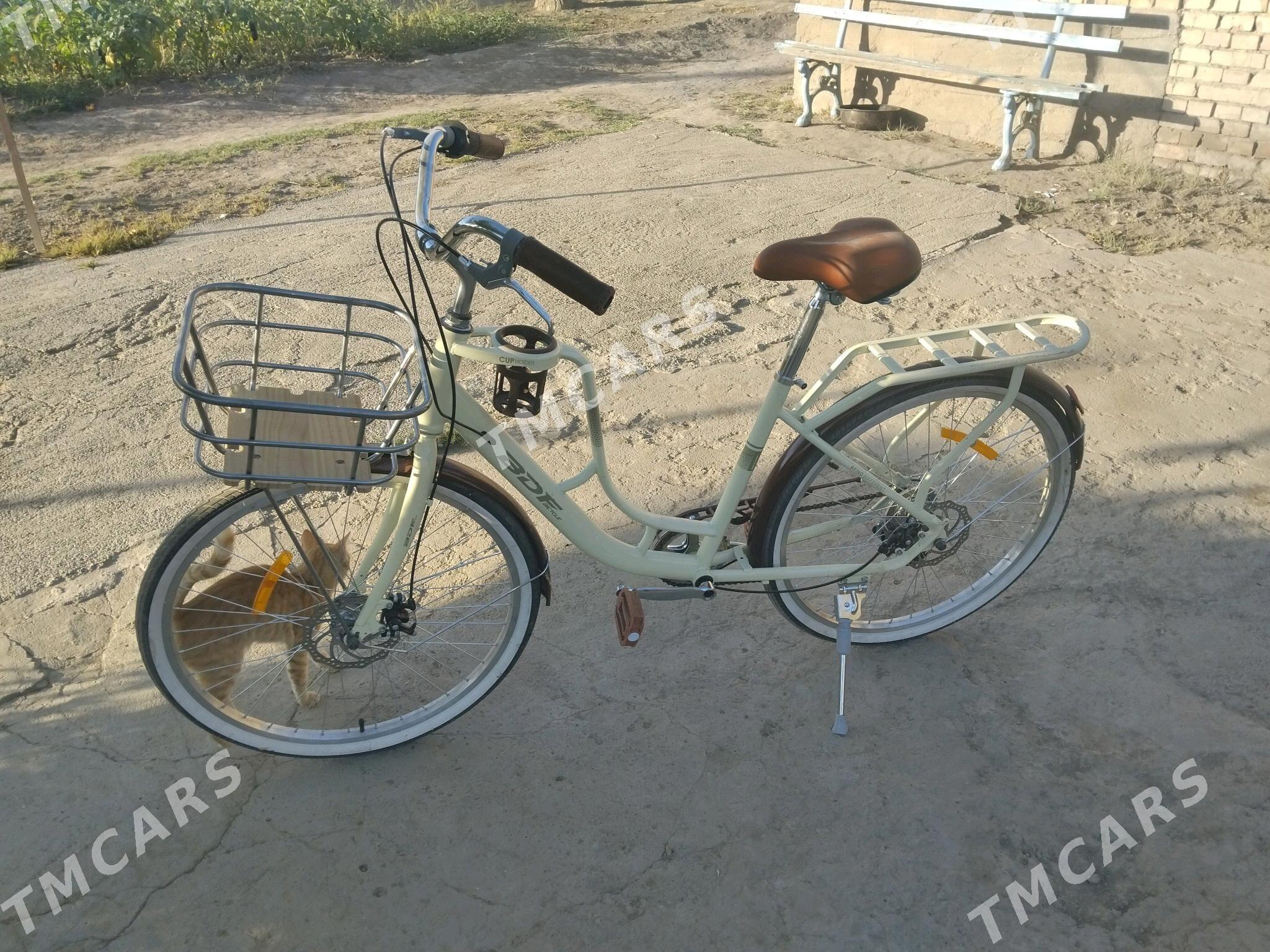 yaponka tigir - Bagyr - img 1