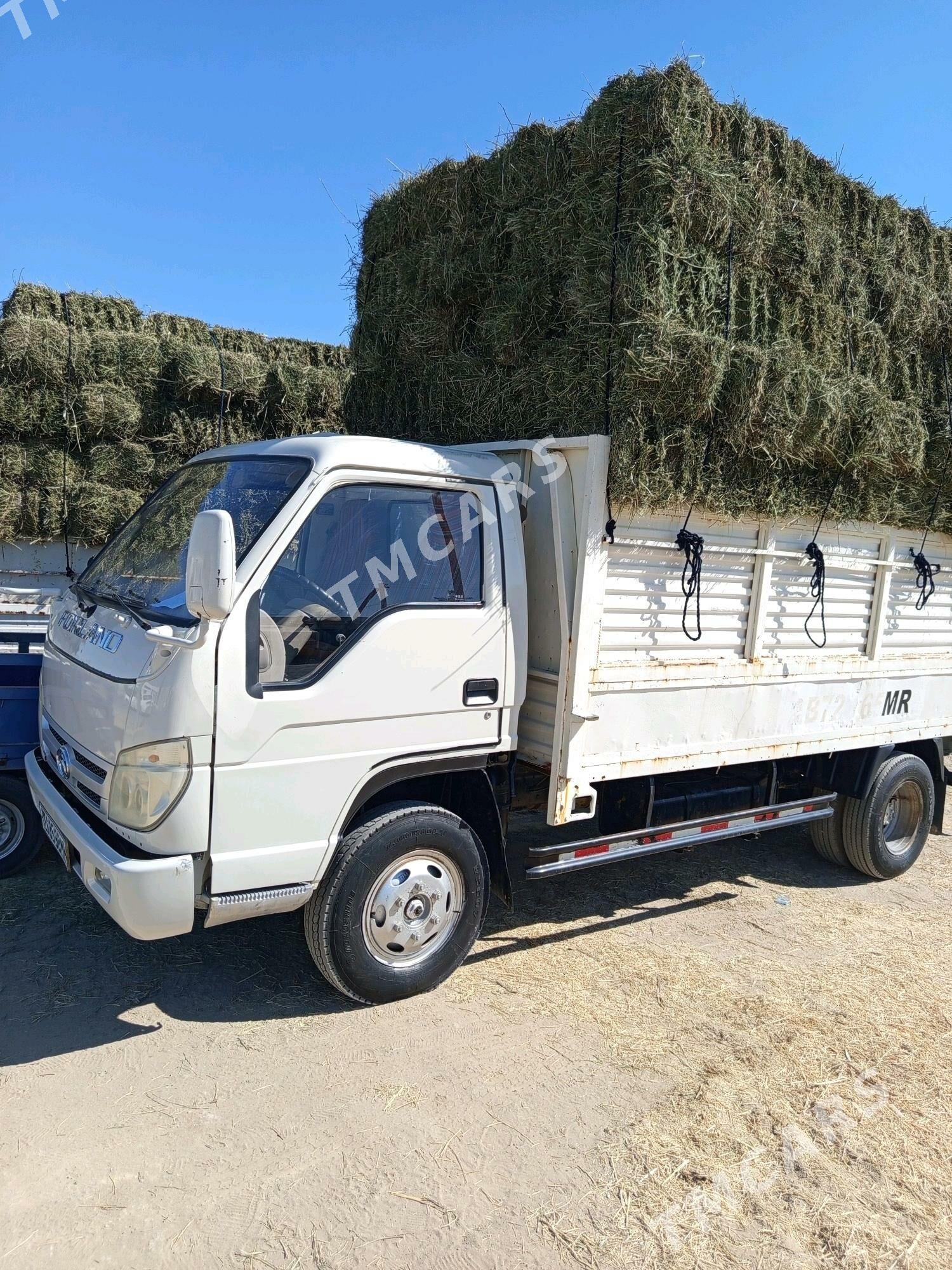 Forland H3 2014 - 150 000 TMT - Сакарчага - img 3