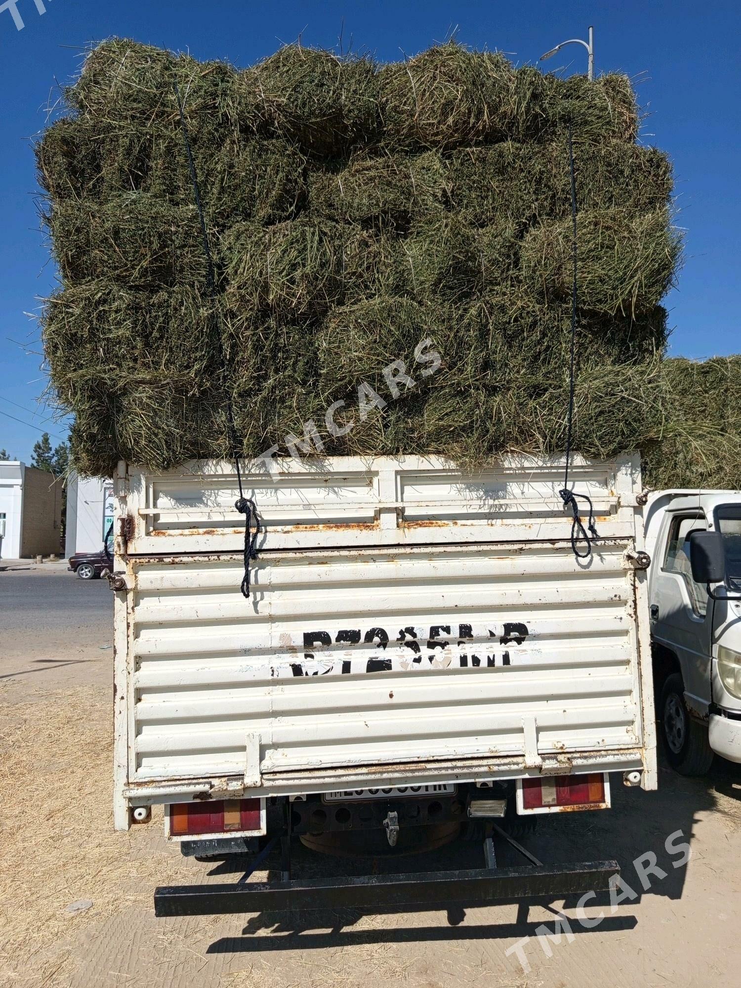 Forland H3 2014 - 150 000 TMT - Сакарчага - img 2