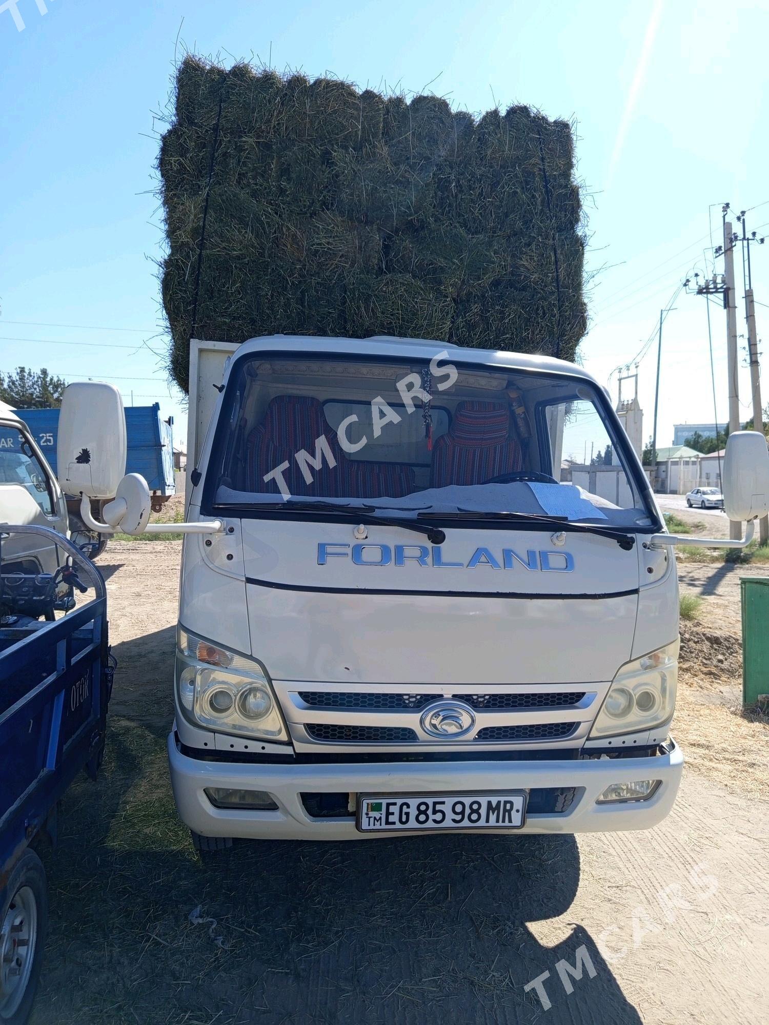 Forland H3 2014 - 150 000 TMT - Сакарчага - img 4
