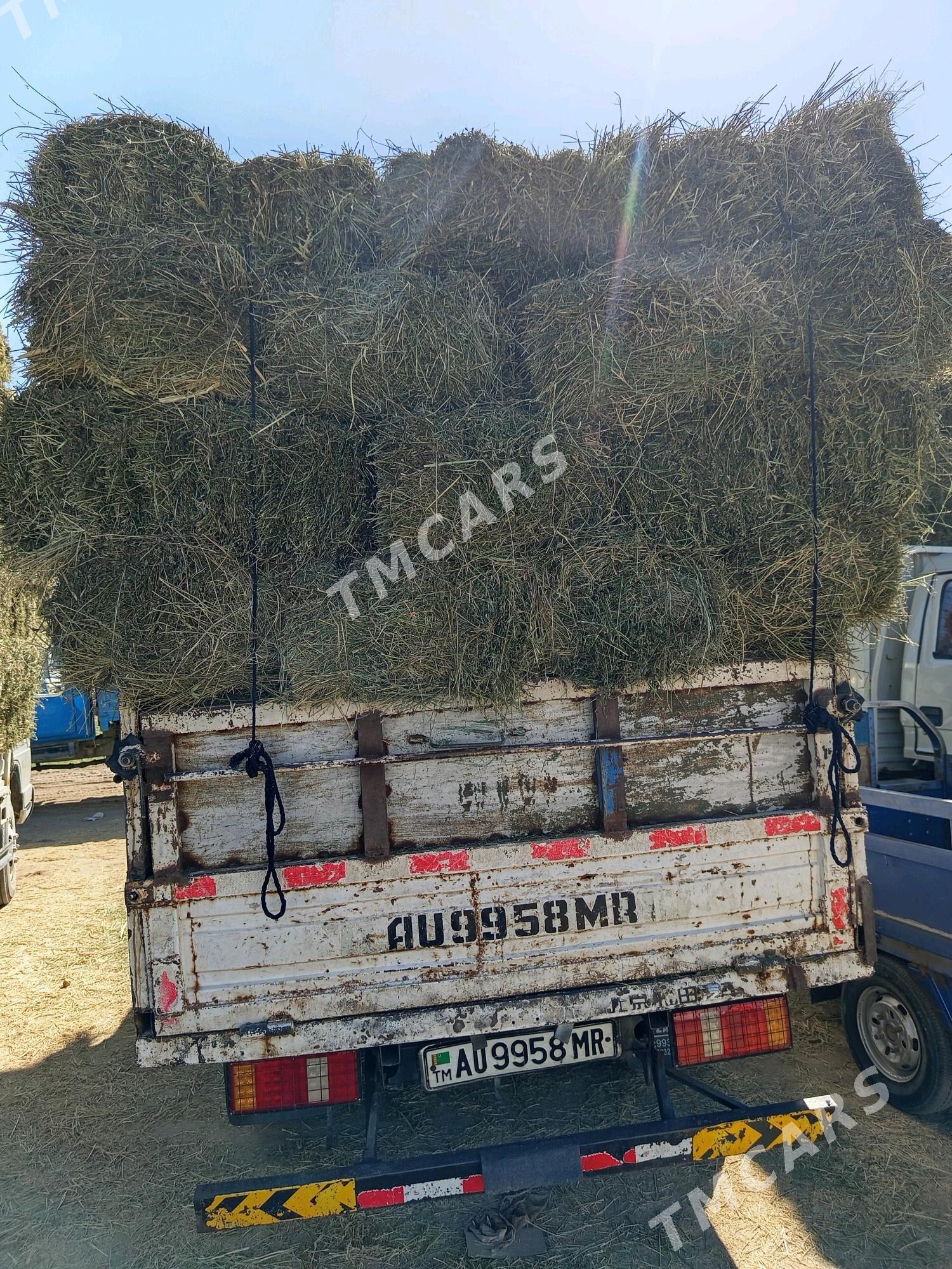Forland H2 2011 - 70 000 TMT - Сакарчага - img 3