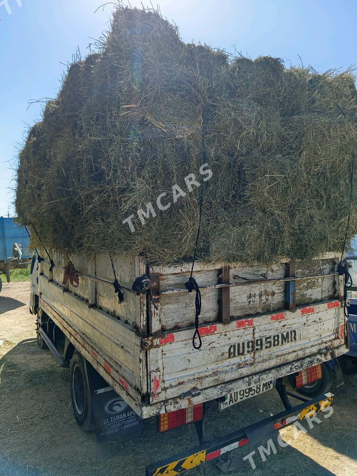 Forland H2 2011 - 70 000 TMT - Сакарчага - img 4