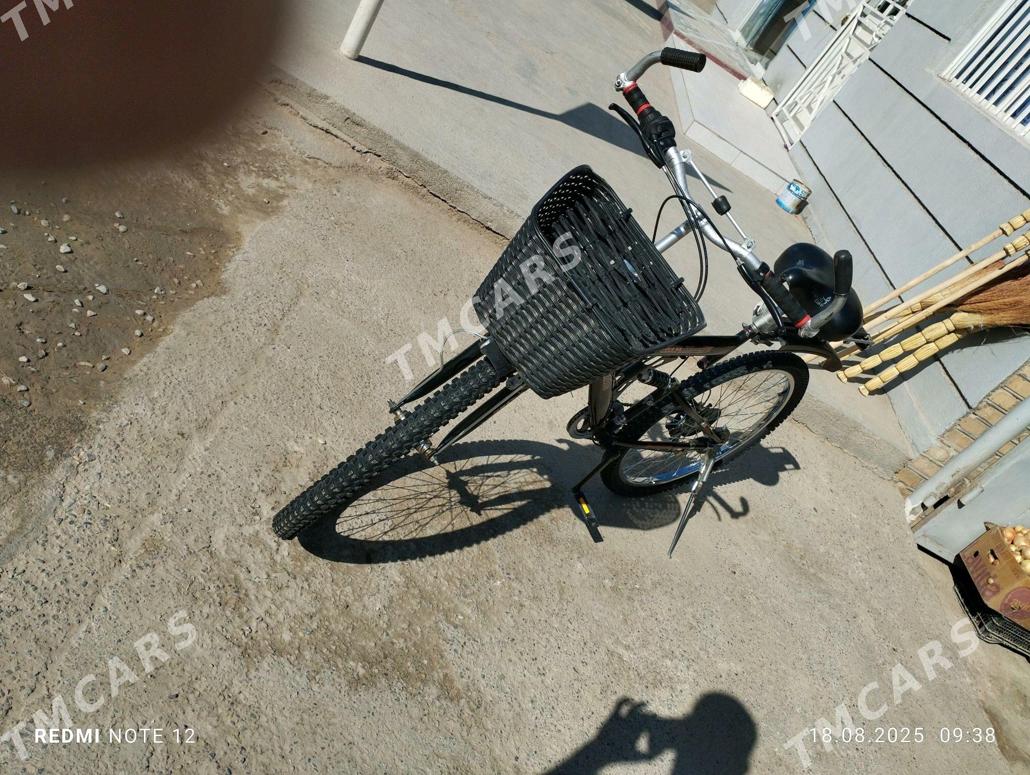 Welsopet - Murgap - img 4