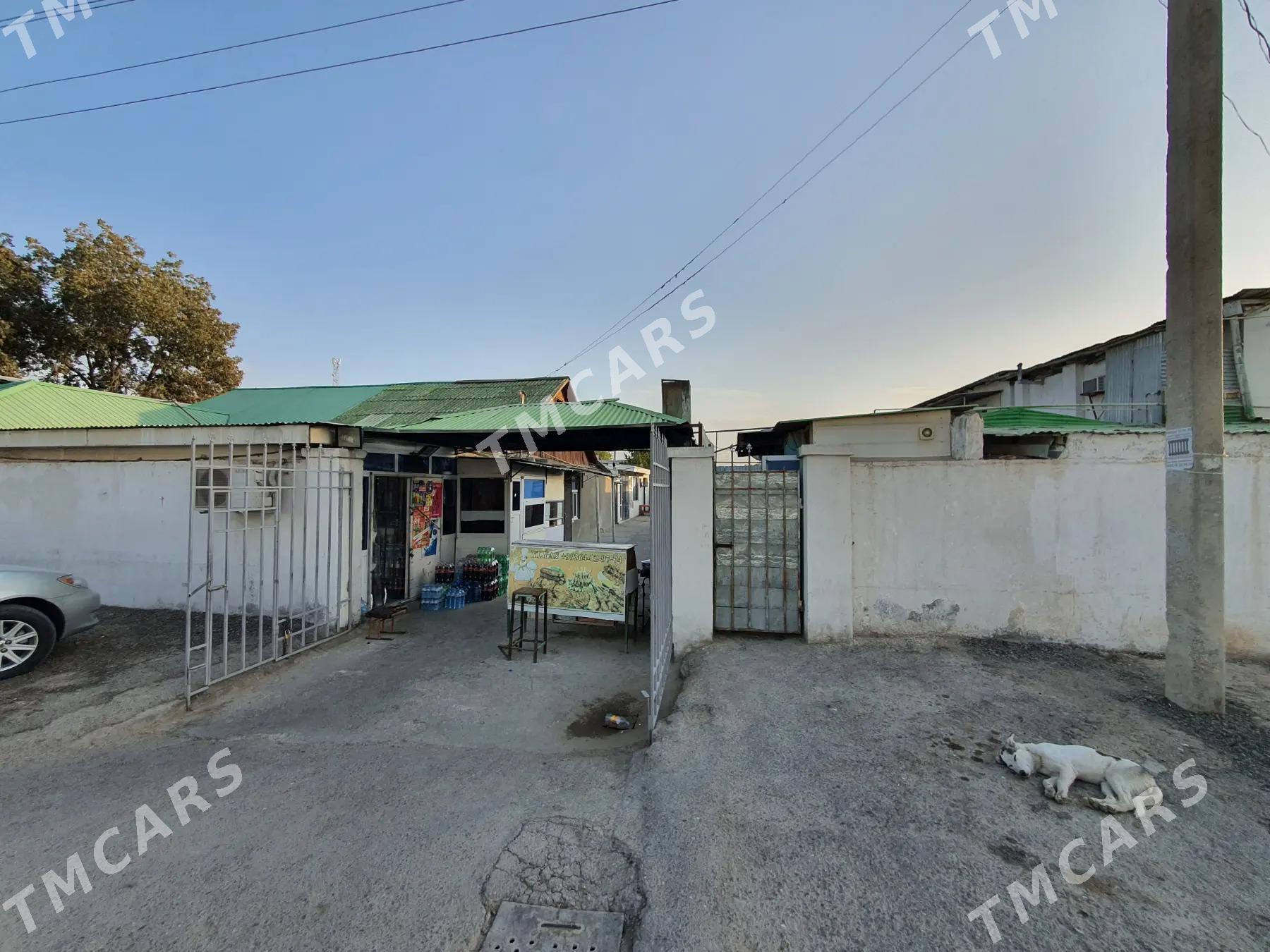 ÄNEW TAŸYN PLAN BIZNES - Aşgabat - img 3