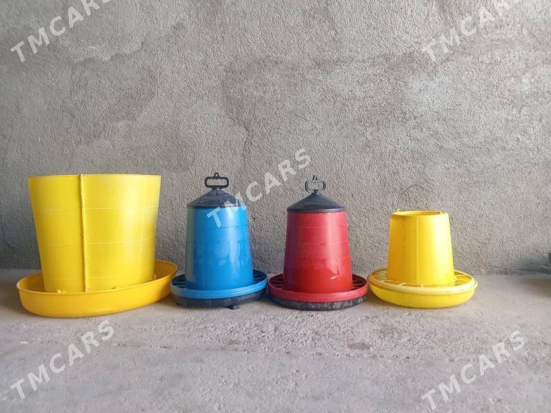 Towuk jüjeler üçin iyim beryen - Çärjew - img 6