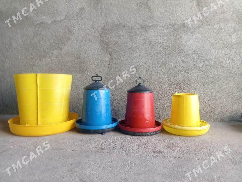 Towuk jüjeler üçin iyim beryen - Çärjew - img 5