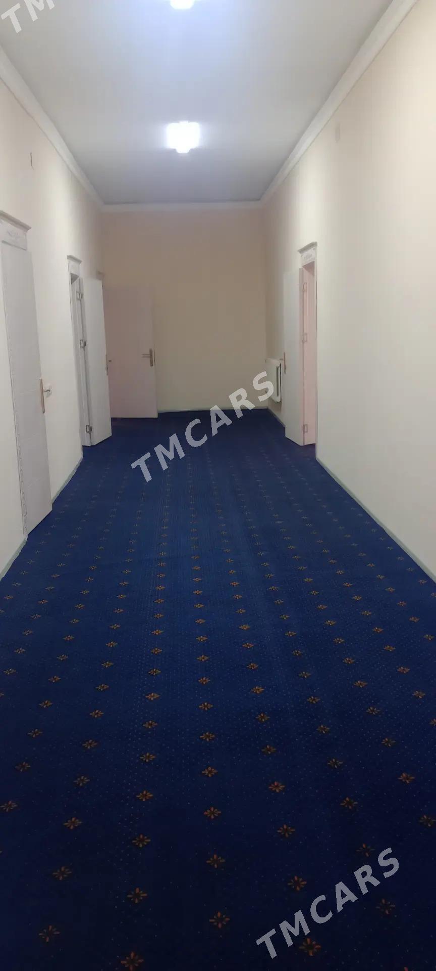 Jay - Daşoguz - img 2