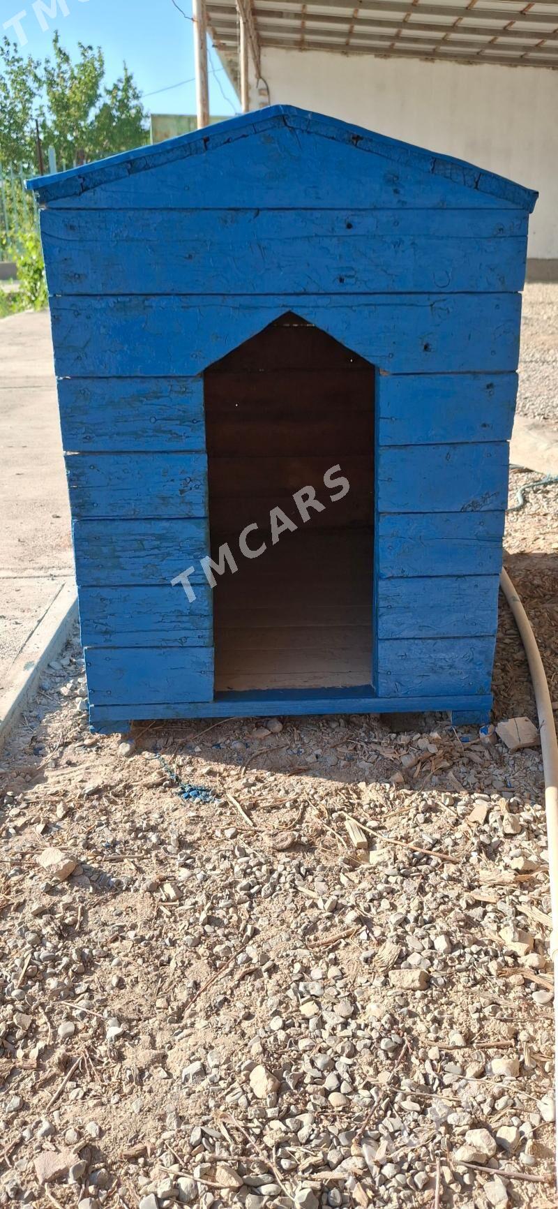 it yatak - Daşoguz - img 2