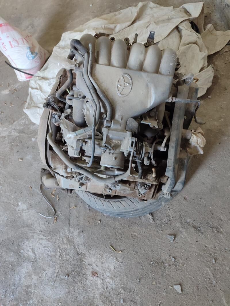 Runer mator 18 000 TMT - Kaka - img 2